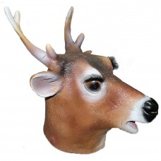 Reindeer / Stag Reindeer / Stag