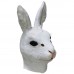 White Rabbit with Fur