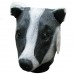 Badger