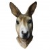 Kangaroo